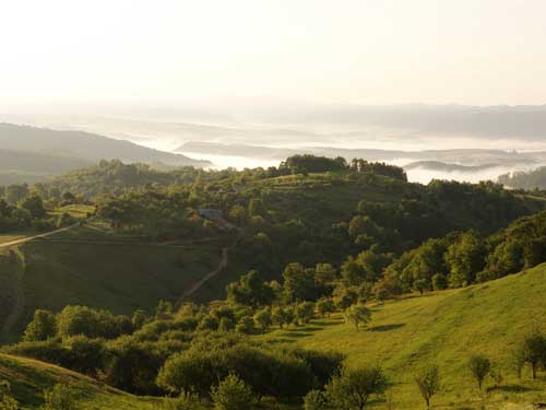 Foto Neguri deasupra Lapusului (c) Petru Goja